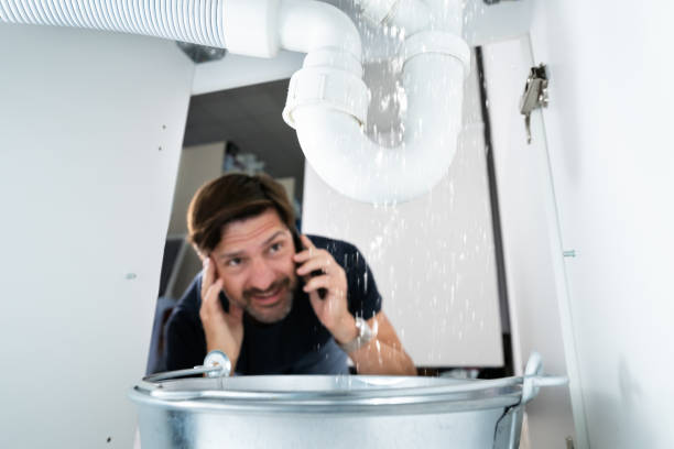 Best Toilet Repair Services  in Rosemont, CA